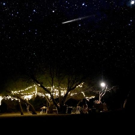 Enjo Nature Farm Clanwilliam Ngoại thất bức ảnh
