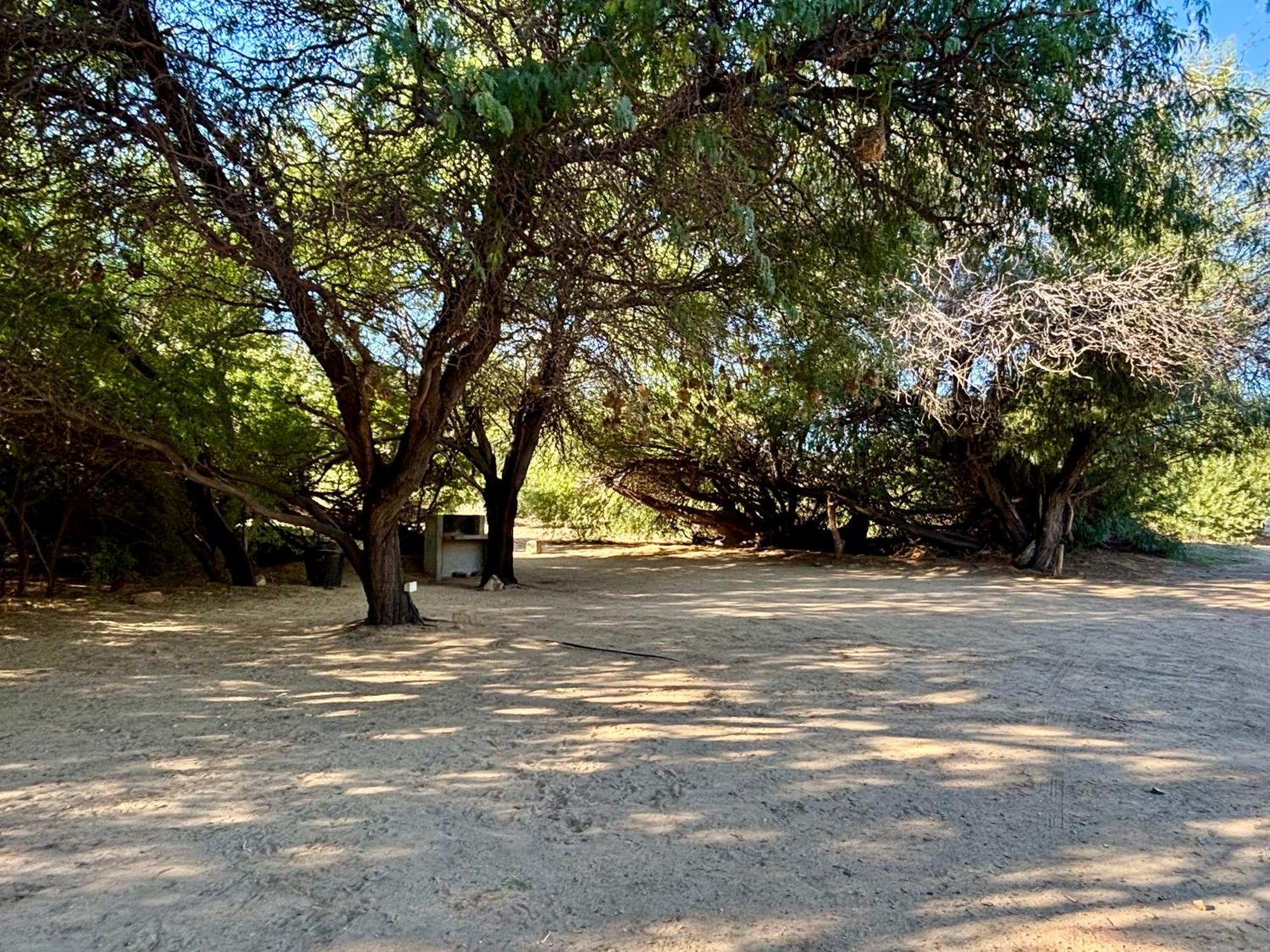 Enjo Nature Farm Clanwilliam Ngoại thất bức ảnh