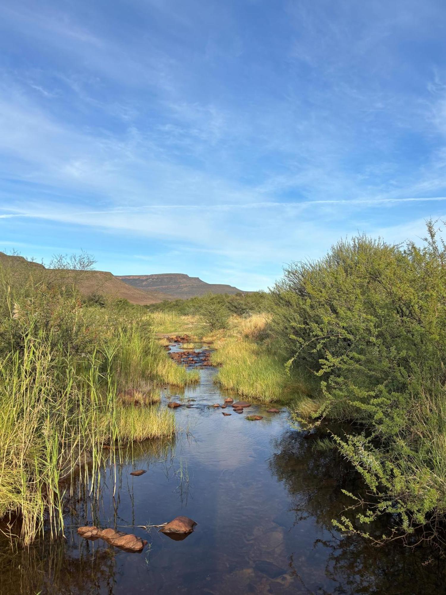 Enjo Nature Farm Clanwilliam Ngoại thất bức ảnh
