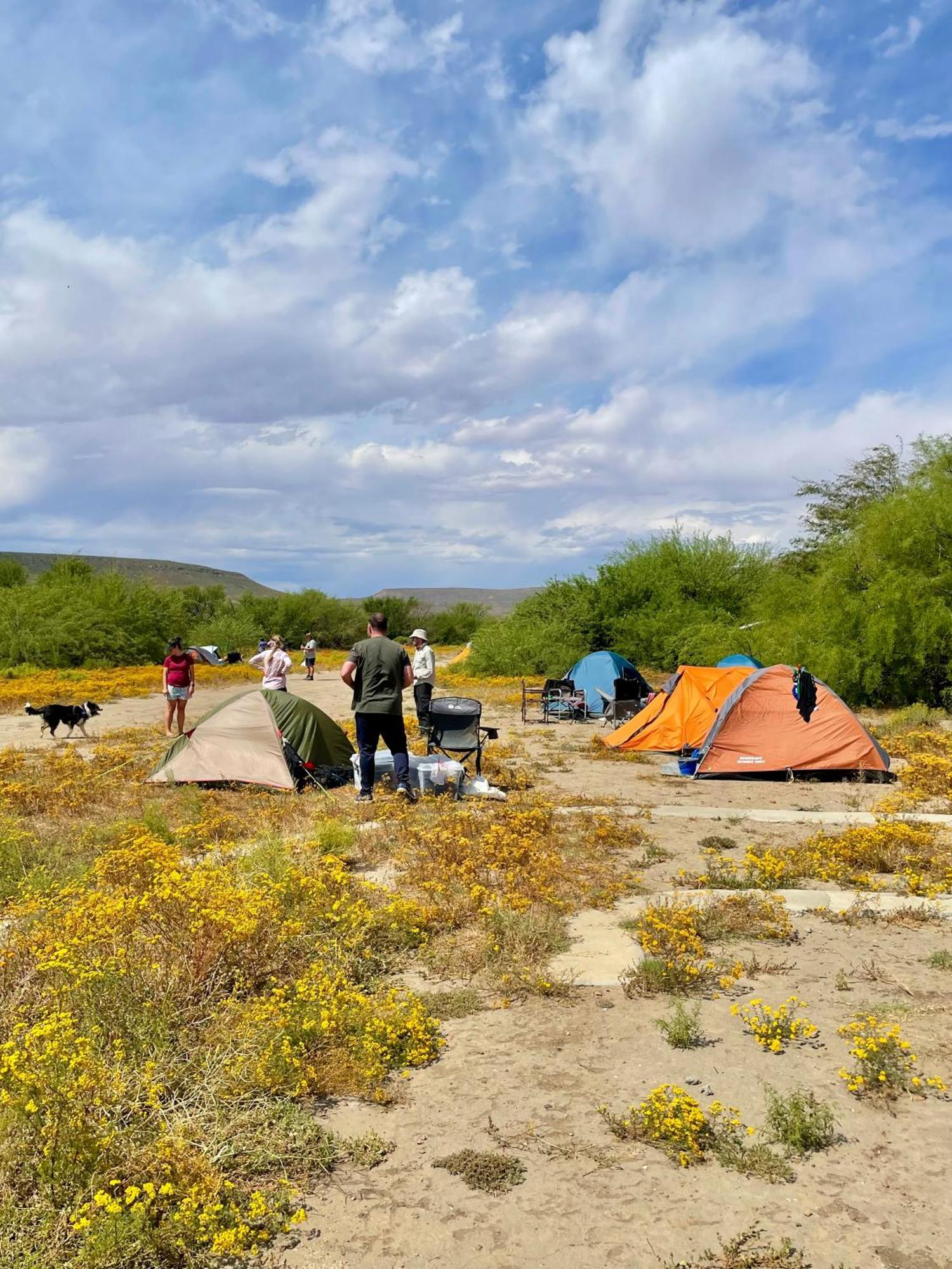 Enjo Nature Farm Clanwilliam Ngoại thất bức ảnh