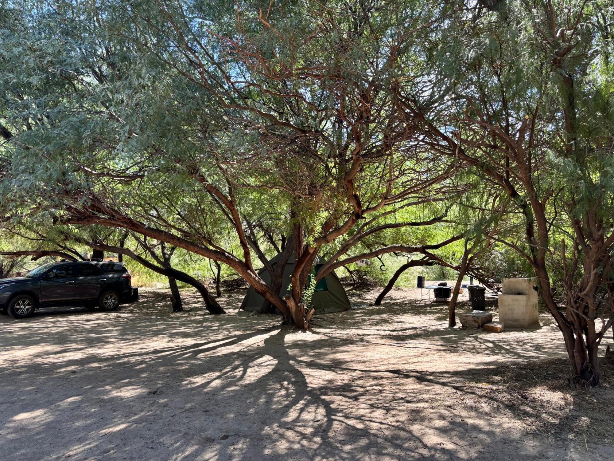 Enjo Nature Farm Clanwilliam Ngoại thất bức ảnh