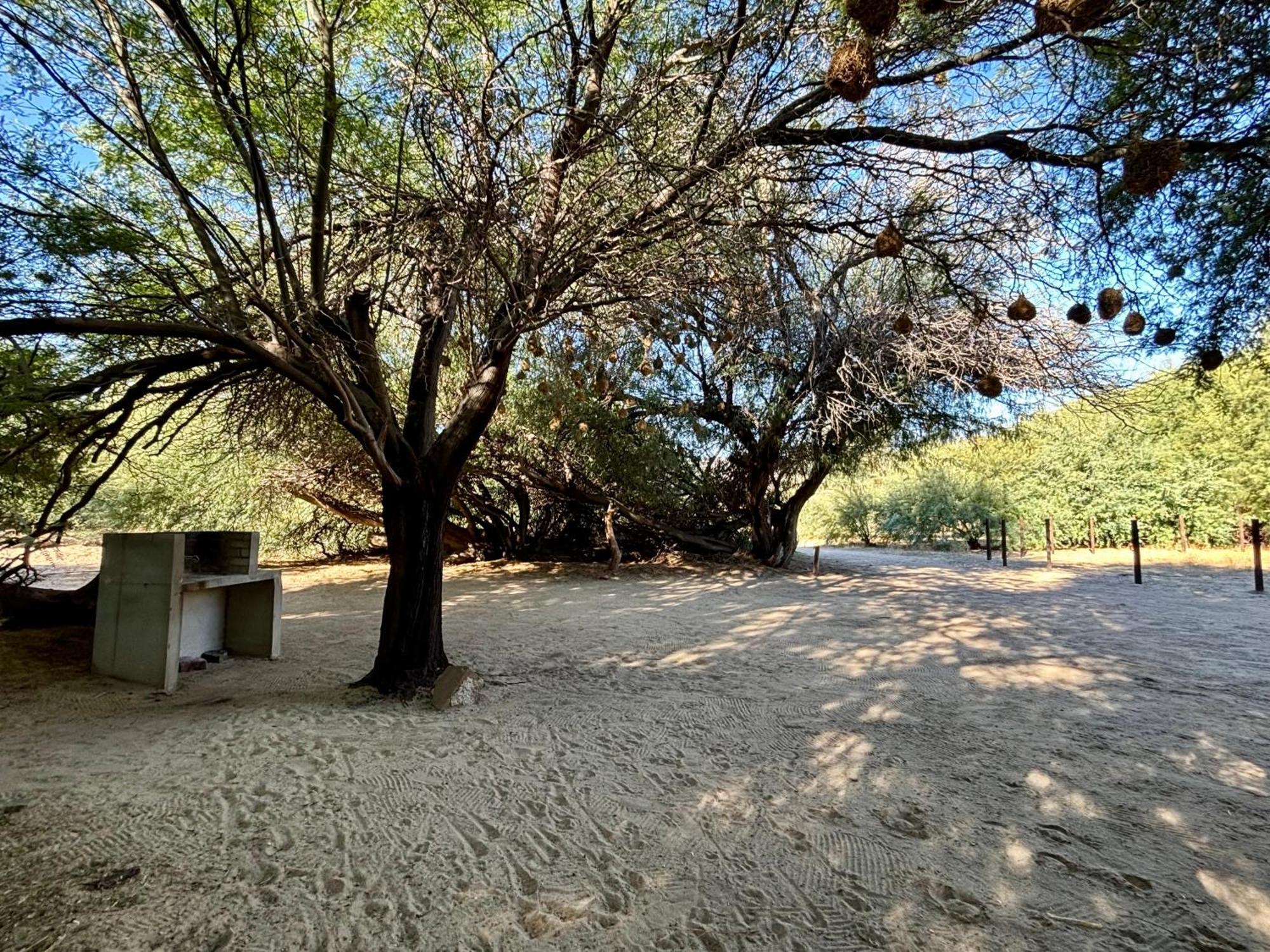Enjo Nature Farm Clanwilliam Ngoại thất bức ảnh