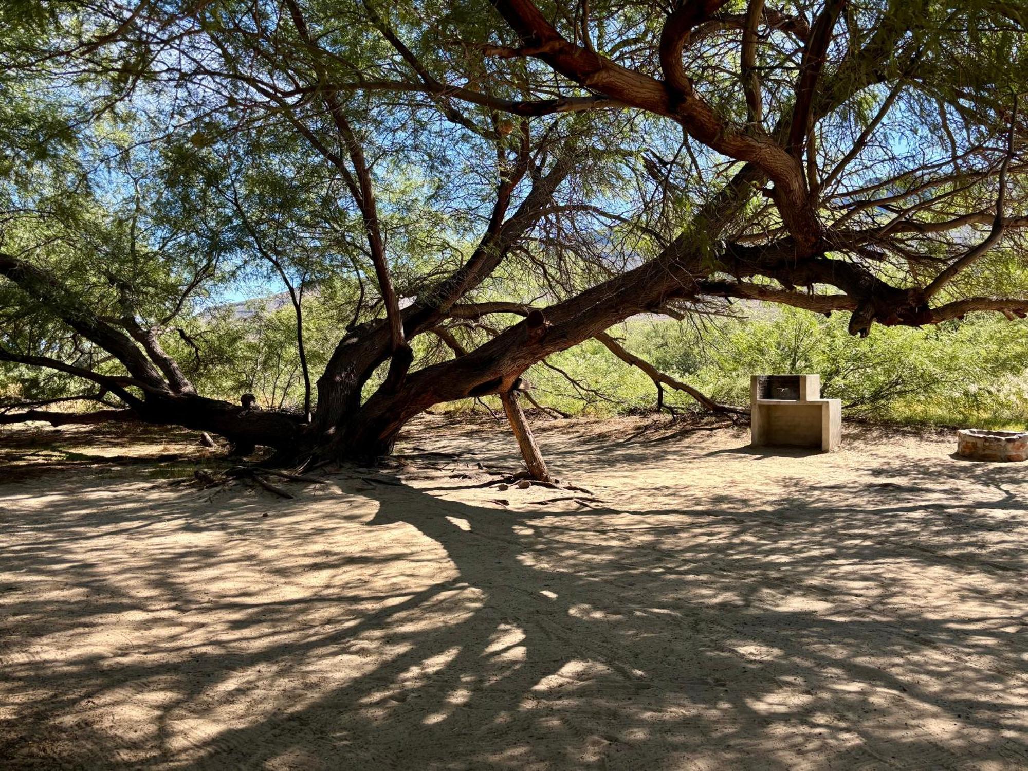 Enjo Nature Farm Clanwilliam Ngoại thất bức ảnh